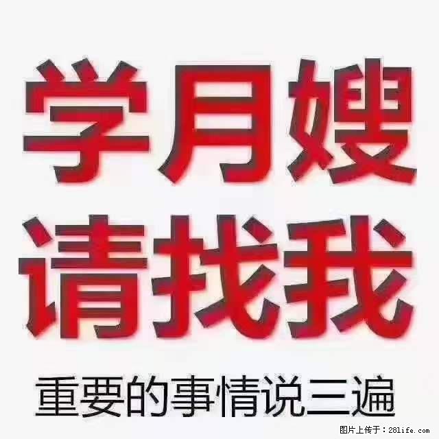 为什么要学习月嫂，育婴师？ - 其他广告 - 广告专区 - 恩施分类信息 - 恩施28生活网 es.28life.net
