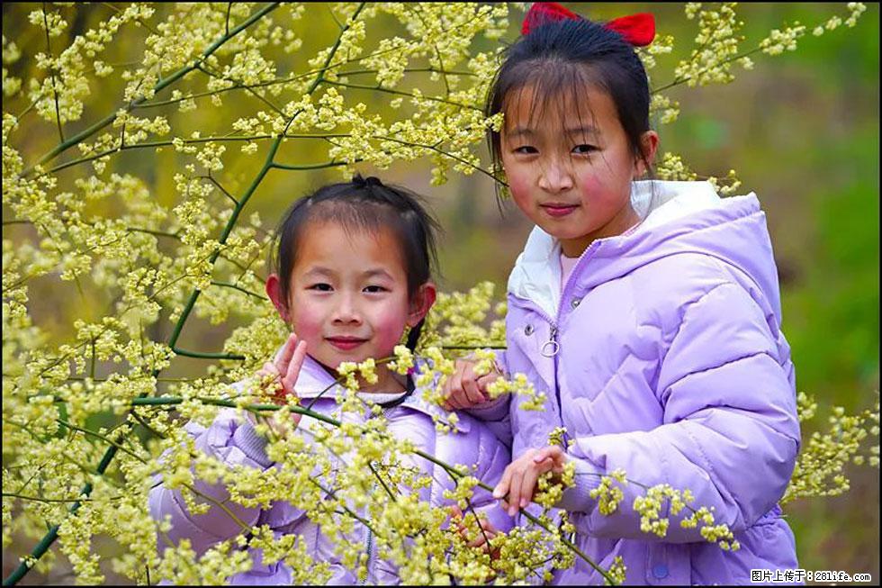 【春天，广西桂林灌阳县向您发出邀请！】米珠山前有片山苍子花在飘香 - 游山玩水 - 恩施生活社区 - 恩施28生活网 es.28life.net