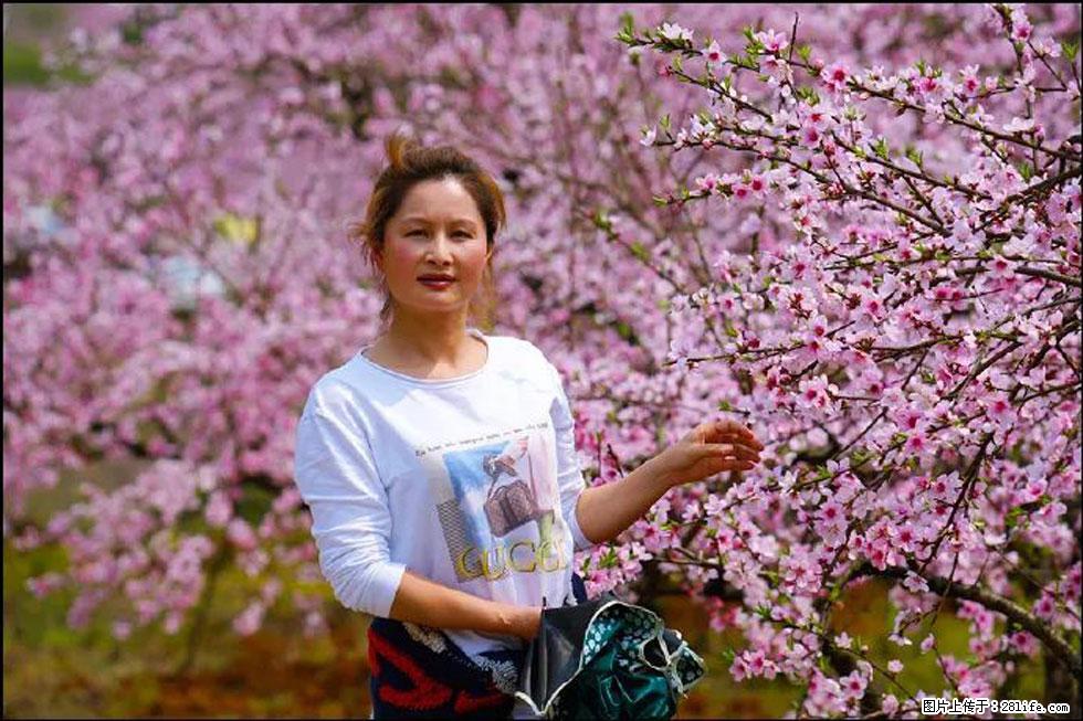 【春天，广西桂林灌阳县向您发出邀请！】官庄村有个醉美的桃花园 - 游山玩水 - 恩施生活社区 - 恩施28生活网 es.28life.net