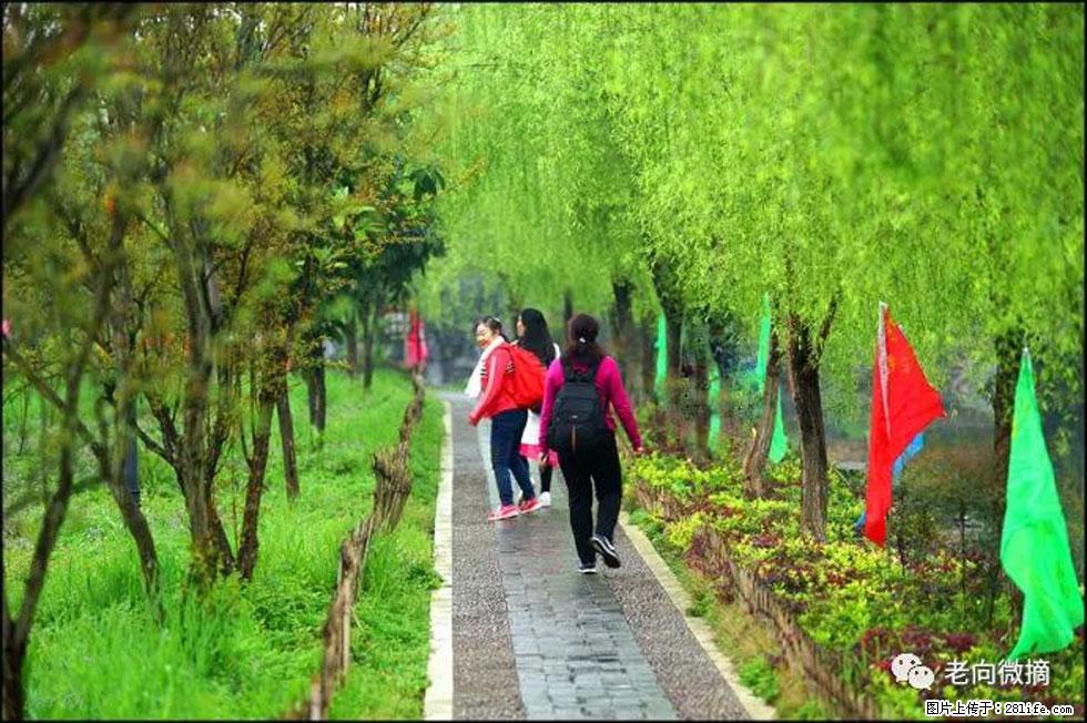 【春天，广西桂林灌阳县向您发出邀请！】江口老街又逢春 - 游山玩水 - 恩施生活社区 - 恩施28生活网 es.28life.net