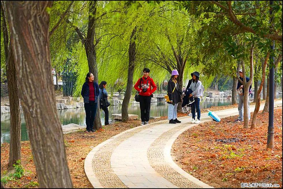 【春天，广西桂林灌阳县向您发出邀请！】江口老街又逢春 - 游山玩水 - 恩施生活社区 - 恩施28生活网 es.28life.net