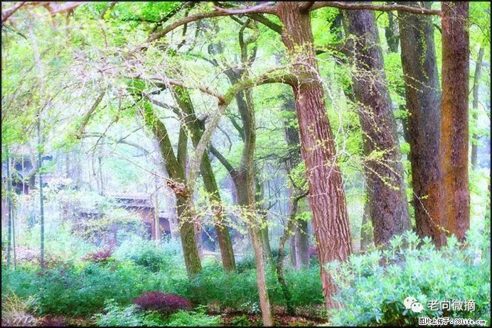 【春天，广西桂林灌阳县向您发出邀请！】在小龙村与春天约会 - 游山玩水 - 恩施生活社区 - 恩施28生活网 es.28life.net