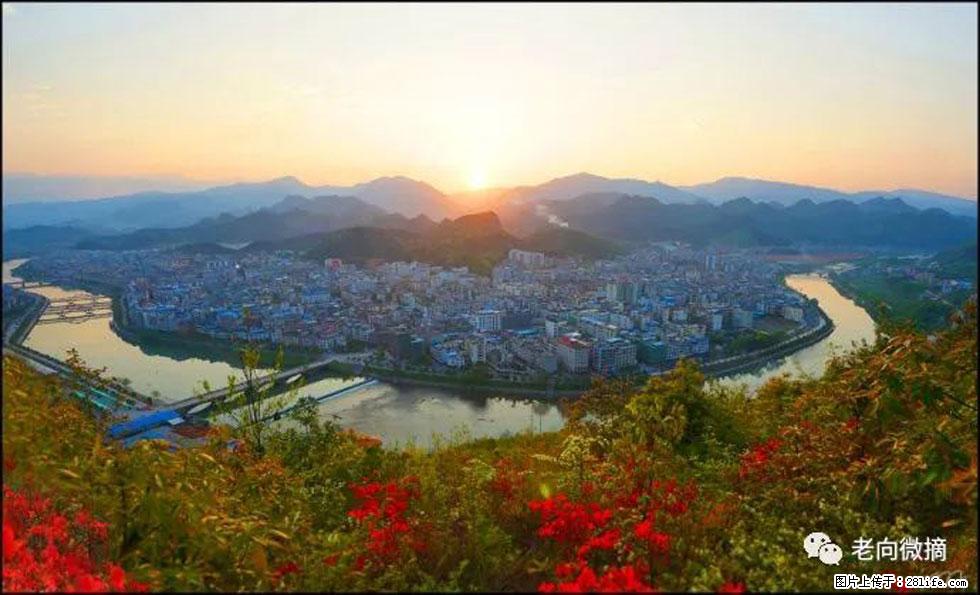 【春天，广西桂林灌阳县向您发出邀请！】登麒麟山，相约映山红 - 游山玩水 - 恩施生活社区 - 恩施28生活网 es.28life.net