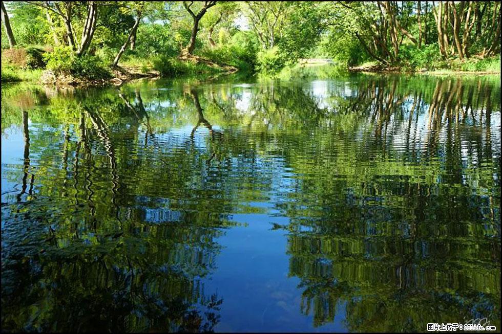 【春天，广西桂林灌阳县向您发出邀请！】熊家寨湿地公园 - 游山玩水 - 恩施生活社区 - 恩施28生活网 es.28life.net