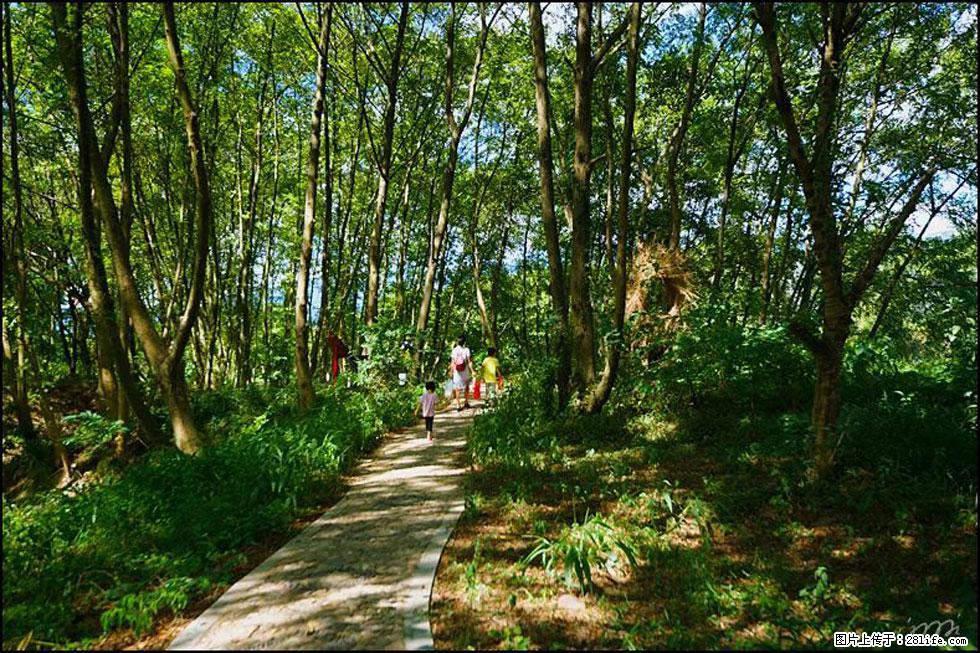 【春天，广西桂林灌阳县向您发出邀请！】熊家寨湿地公园 - 游山玩水 - 恩施生活社区 - 恩施28生活网 es.28life.net