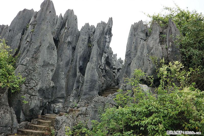 桂林旅游名城景点：灌阳文市石林 - 游山玩水 - 恩施生活社区 - 恩施28生活网 es.28life.net