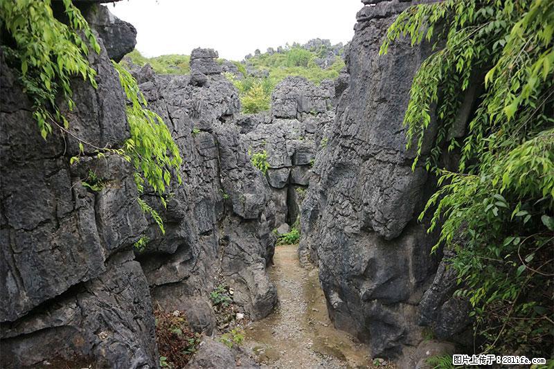 桂林旅游名城景点：灌阳文市石林 - 游山玩水 - 恩施生活社区 - 恩施28生活网 es.28life.net
