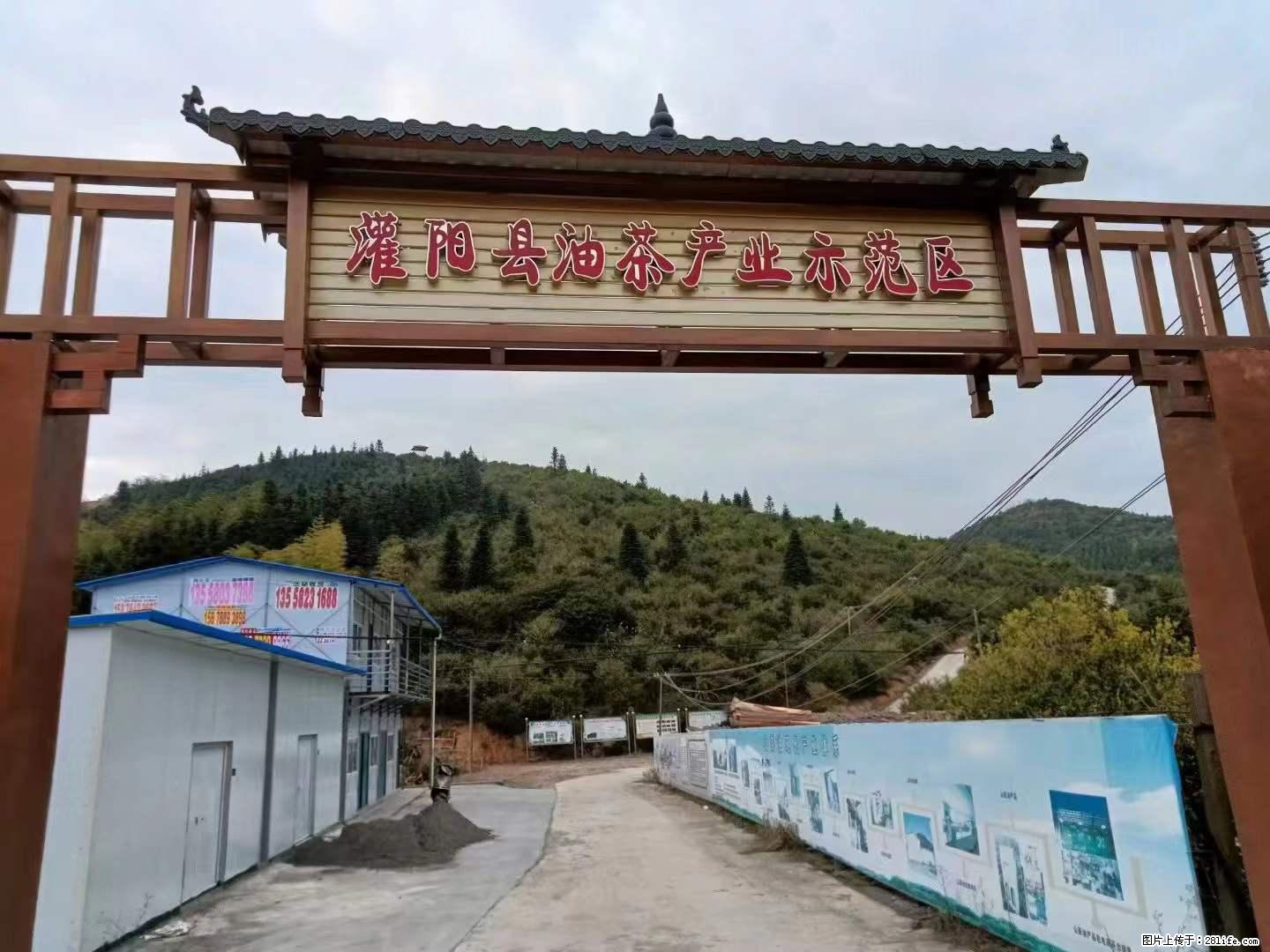 【灌阳县油茶产业示范区】一个有着充实的精神生活的人，对待身外之物自会有一种淡泊的态度 - 土特产 - 饮食特产 - 恩施分类信息 - 恩施28生活网 es.28life.net