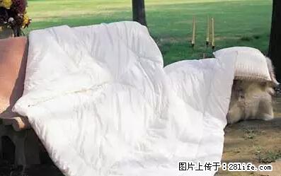 被子有异味?只要这样做,比晒太阳还强100倍! - 家居生活 - 恩施生活社区 - 恩施28生活网 es.28life.net