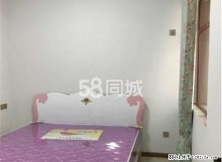 莲湖花园2期2室2厅东西齐全拎包入住好房出租 - 恩施28生活网 es.28life.net