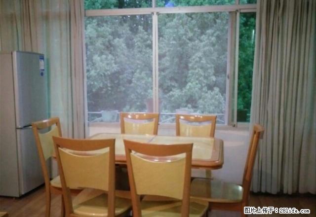 舞阳坝中心 实验小学旁 - 房屋出租 - 房屋租售 - 恩施分类信息 - 恩施28生活网 es.28life.net