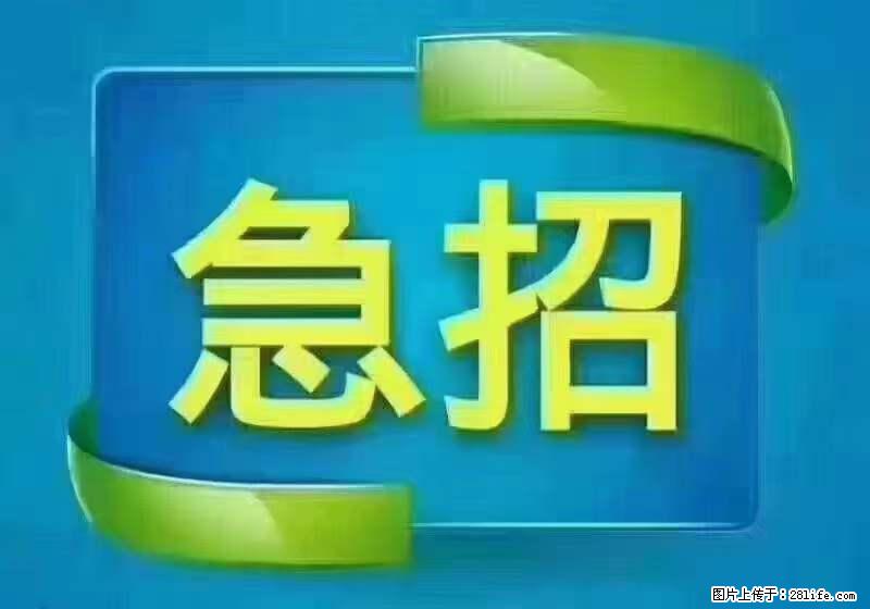 招出纳8000元/月，无证可以，要有相关经验，上海五险一金，包住，包工作餐，做六休一。 - 职场交流 - 恩施生活社区 - 恩施28生活网 es.28life.net