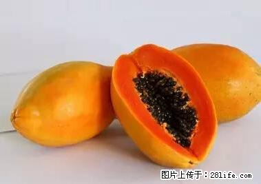 晕车、脚气、牙齿变黄、皮肤粗糙？学会这些三分钟搞定！ - 恩施生活资讯 - 恩施28生活网 es.28life.net