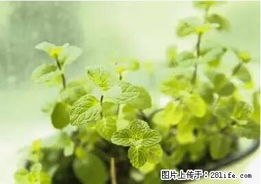 晕车、脚气、牙齿变黄、皮肤粗糙？学会这些三分钟搞定！ - 恩施生活资讯 - 恩施28生活网 es.28life.net