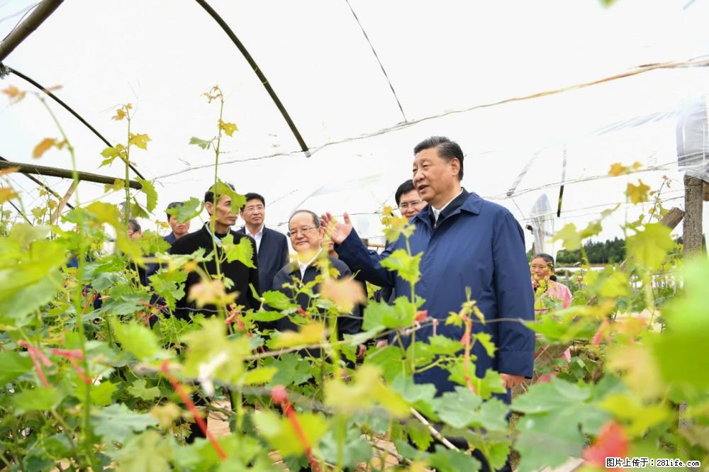 习近平赴广西考察调研 - 恩施生活资讯 - 恩施28生活网 es.28life.net