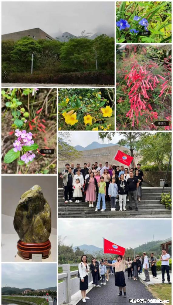 “粤灌文化 美好生活”油茶文化主题活动在广东深圳成功举办 - 恩施生活资讯 - 恩施28生活网 es.28life.net