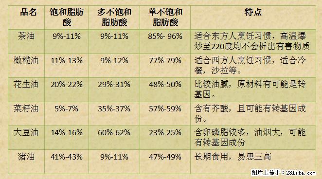 揭秘茶油的5大核心营养成分！被称为人体健康的“守护盾”！ - 恩施生活资讯 - 恩施28生活网 es.28life.net