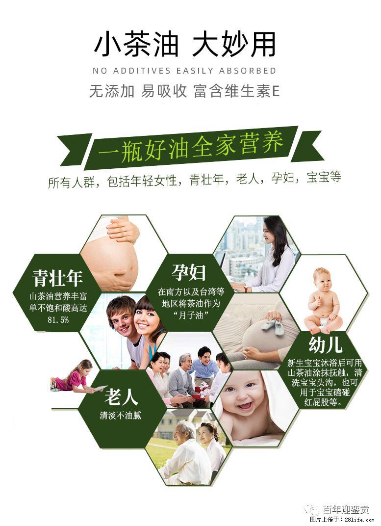 世界没有真相，只有认知，最好的食用油是中国的山茶油！ - 恩施生活资讯 - 恩施28生活网 es.28life.net