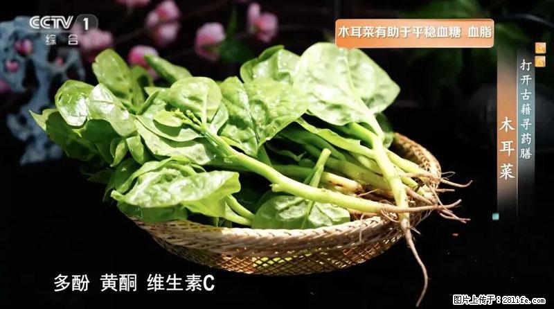 比牛奶补钙还厉害！凉血解毒、稳血糖...这菜冬天必吃，很多人却当草 - 恩施生活资讯 - 恩施28生活网 es.28life.net