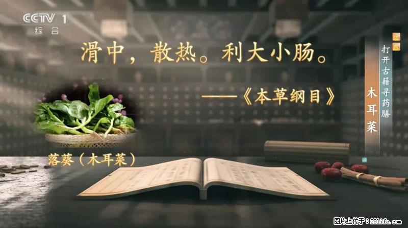 比牛奶补钙还厉害！凉血解毒、稳血糖...这菜冬天必吃，很多人却当草 - 恩施生活资讯 - 恩施28生活网 es.28life.net